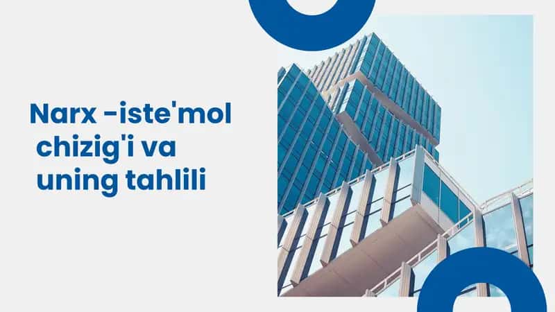 Narx-iste'mol chizig'i va uning tahlili
