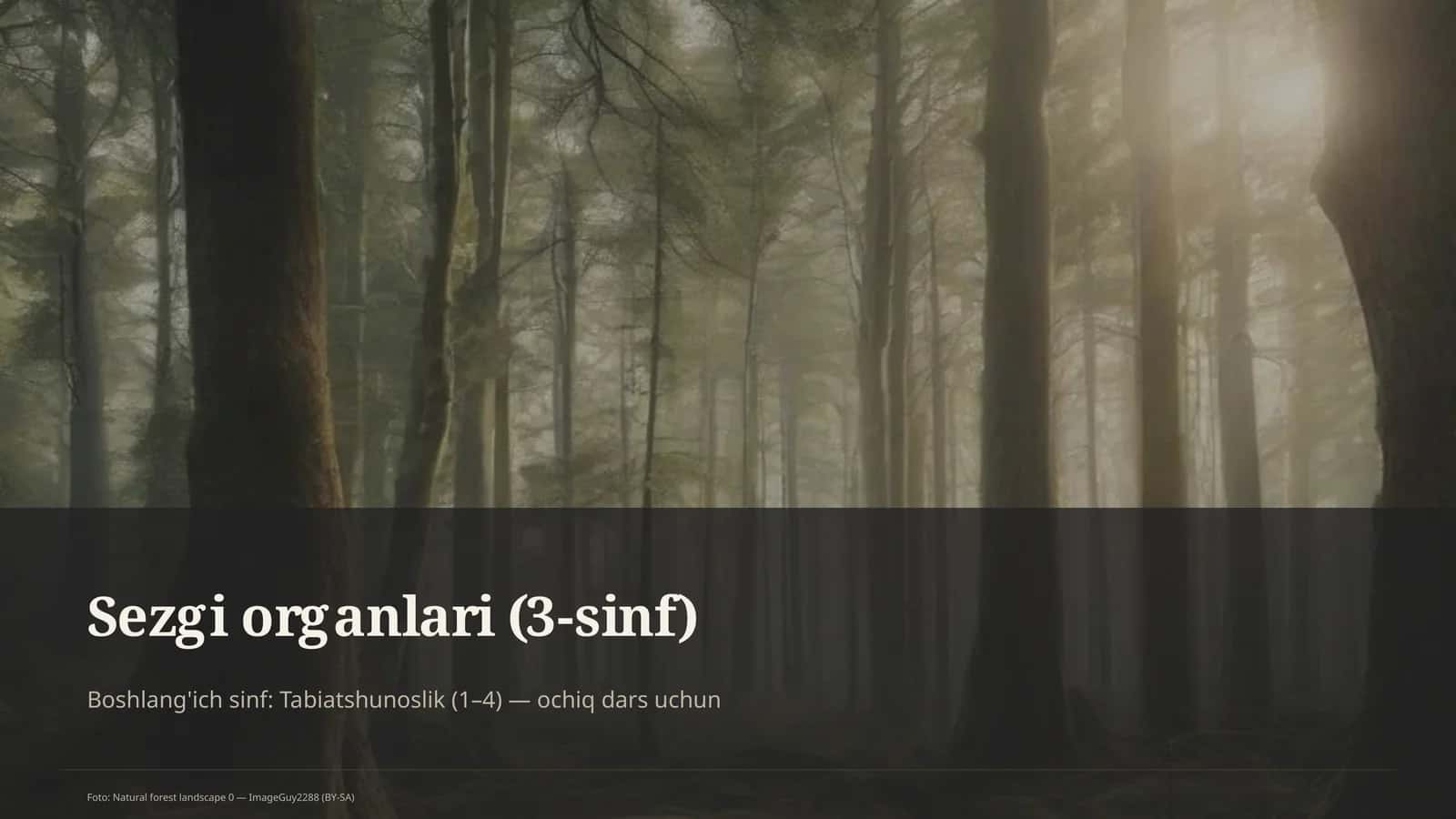 Sezgi organlari (3-sinf)