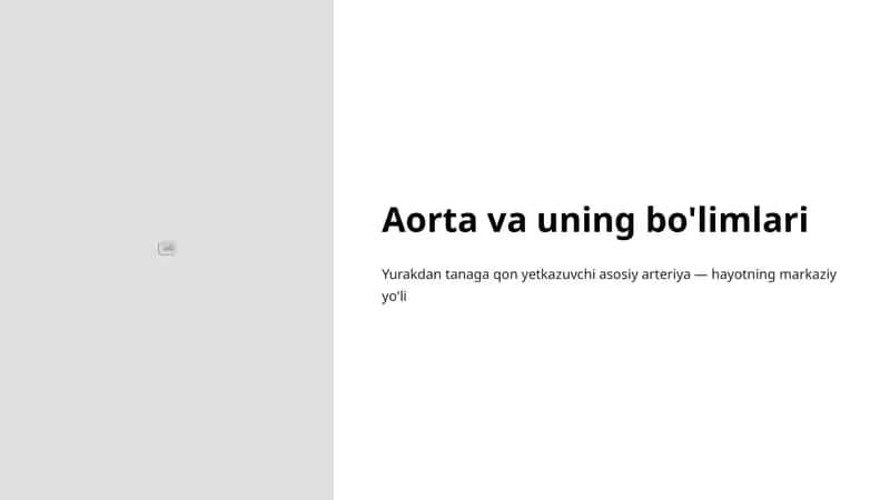 Aorta va uning bo'limlari