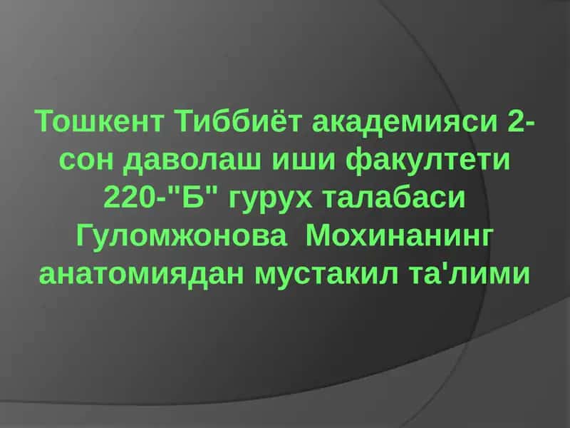 Орқа мия нервлари