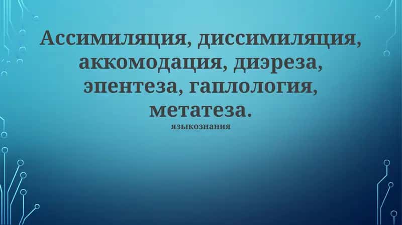 Гаплология