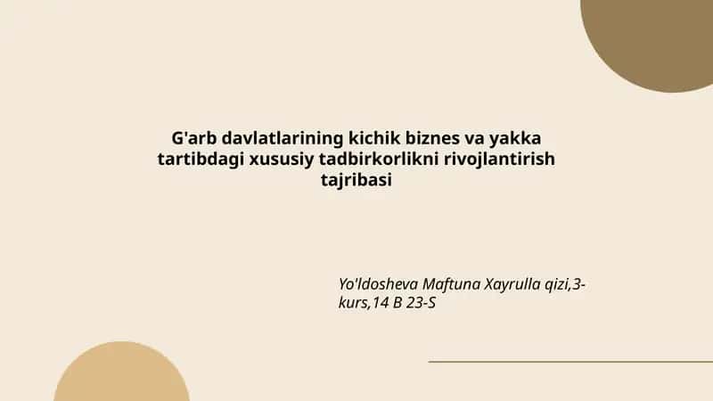 G'arb davlatlarining kichik biznes va yakka tartibdagi xususiy tadbirkorlikni rivojlantirish tajribasi