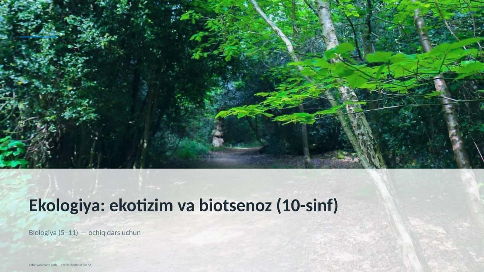 Ekologiya: ekotizim va biotsenoz (10-sinf)