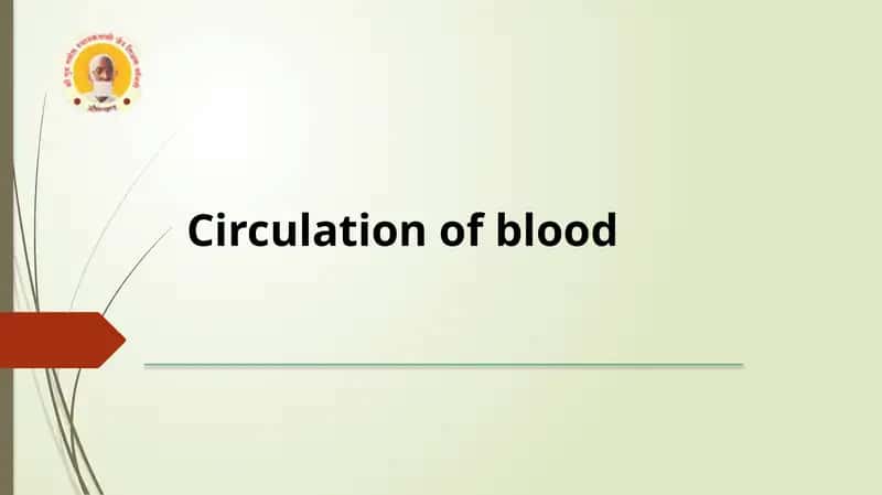 Circulation of blood