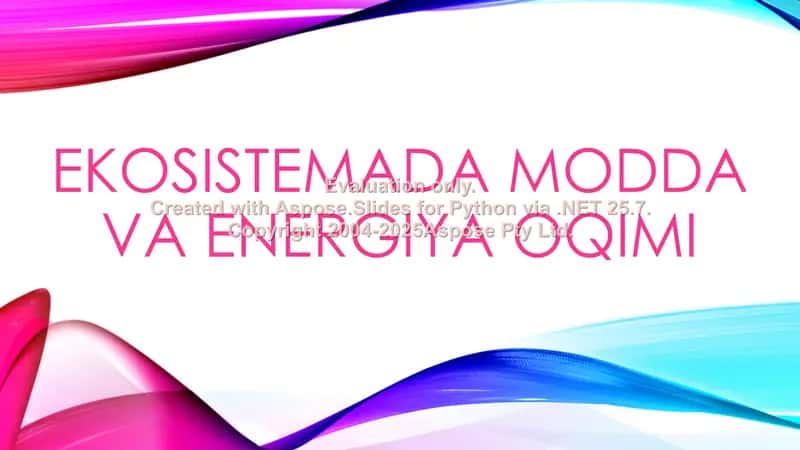 Ekosistemada modda va energiya oqimi