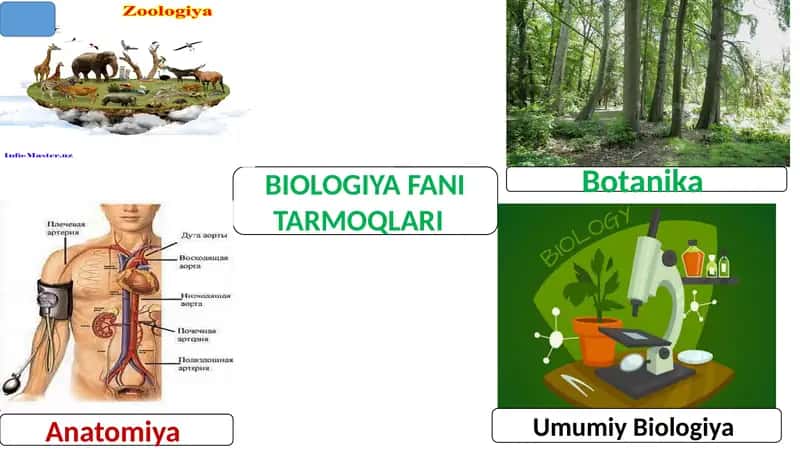 Biologiya