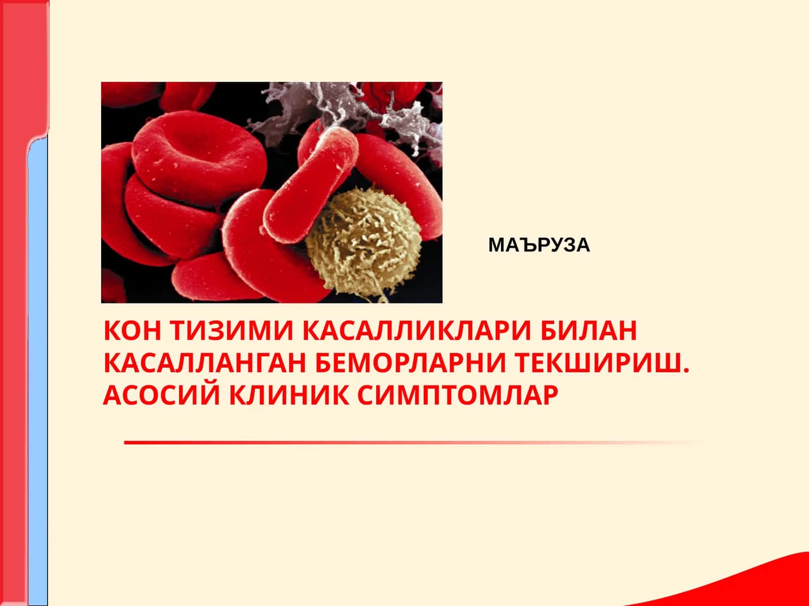 КОН ТИЗИМИ КАСАЛЛИКЛАРИ БИЛАН КАСАЛЛАНГАН БЕМОРЛАРНИ ТЕКШИРИШ. АСОСИЙ КЛИНИК СИМПТОМЛАР