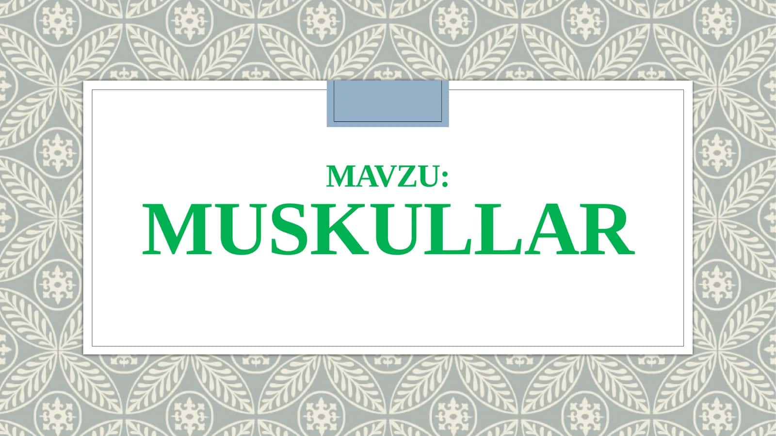 Muskullar