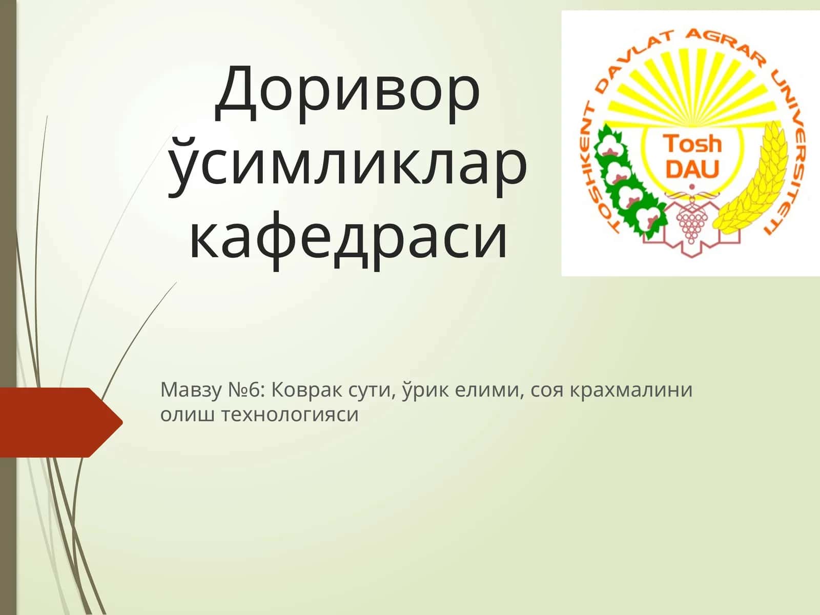 Коврак сути, ўрик елими, соя крахмалини олиш технологияси