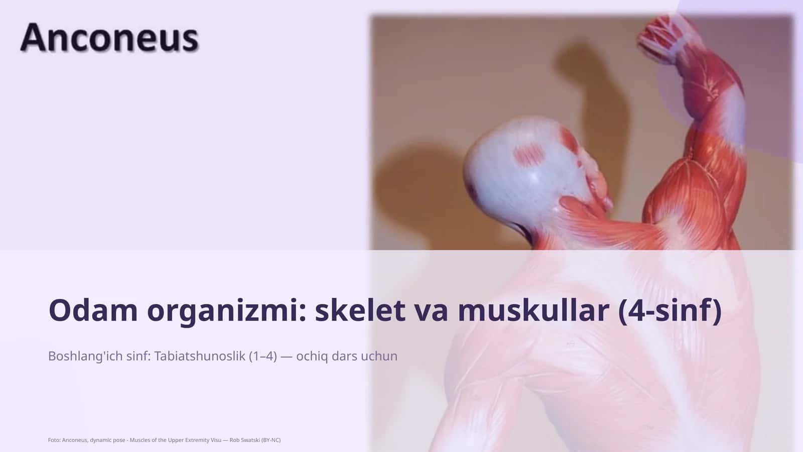 Odam organizmi: skelet va muskullar (4-sinf)