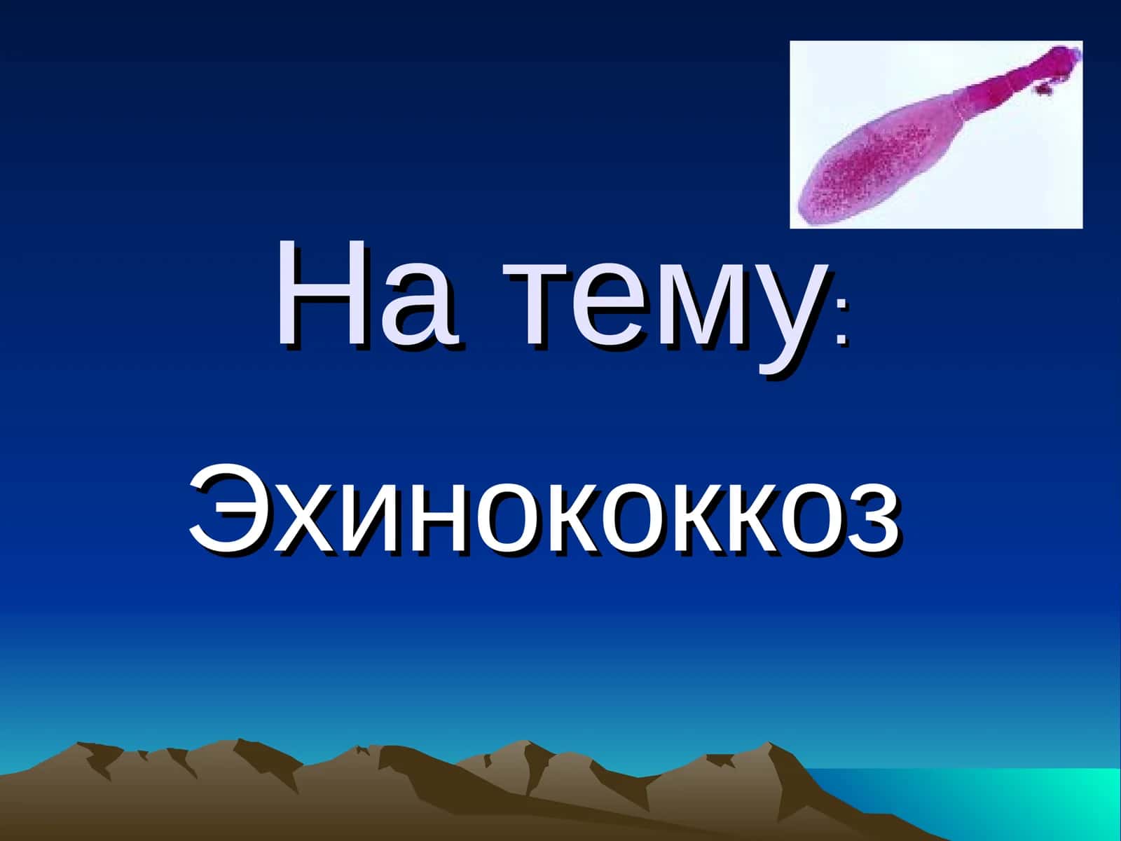 Эхинококкоз