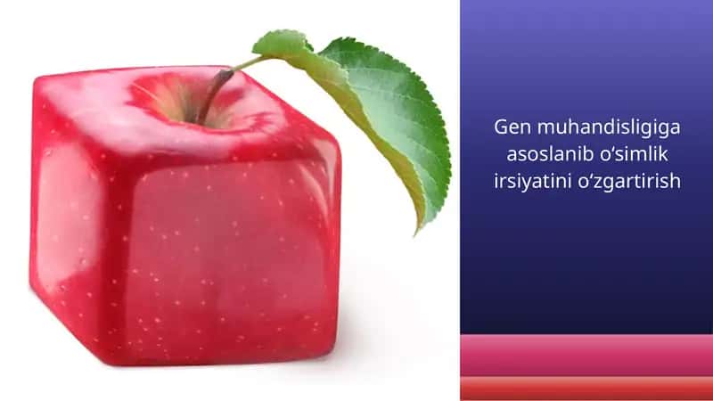 Gen muhandisligiga asoslanib o‘simlik irsiyatini o‘zgartirish