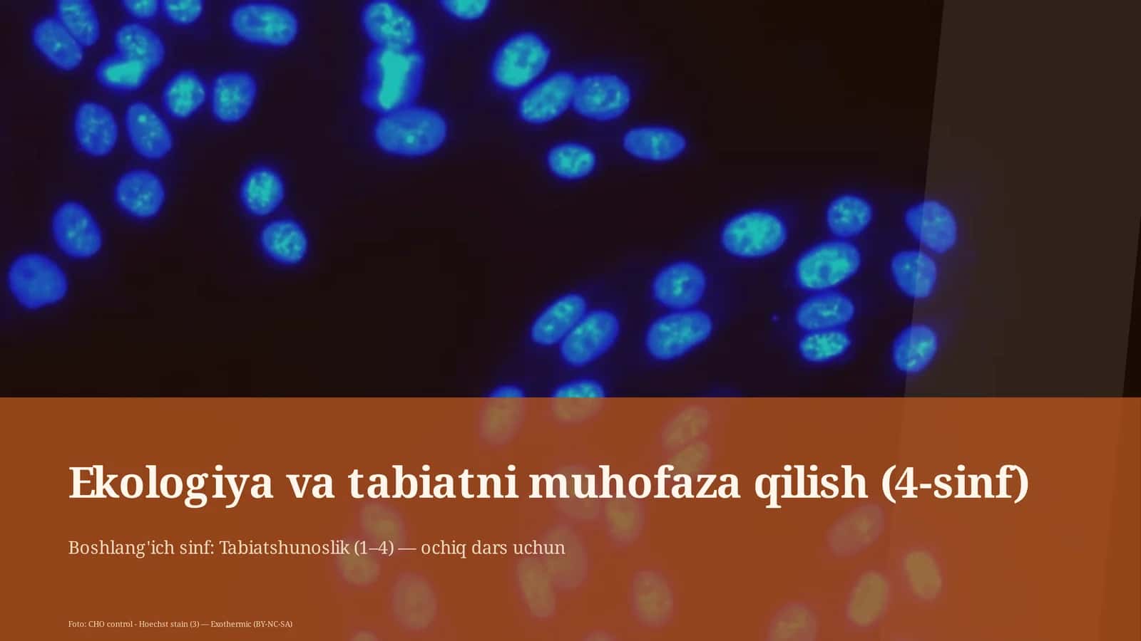 Ekologiya va tabiatni muhofaza qilish (4-sinf)