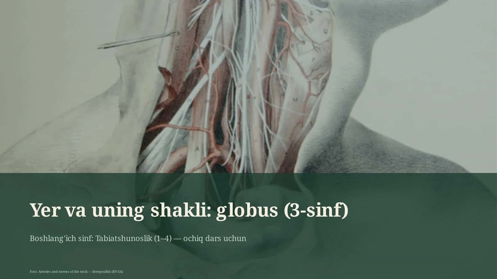 Yer va uning shakli: globus (3-sinf)