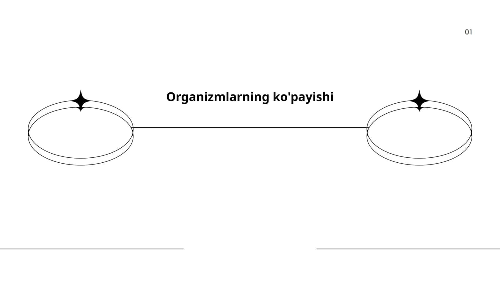 Organizmlarning ko'payishi