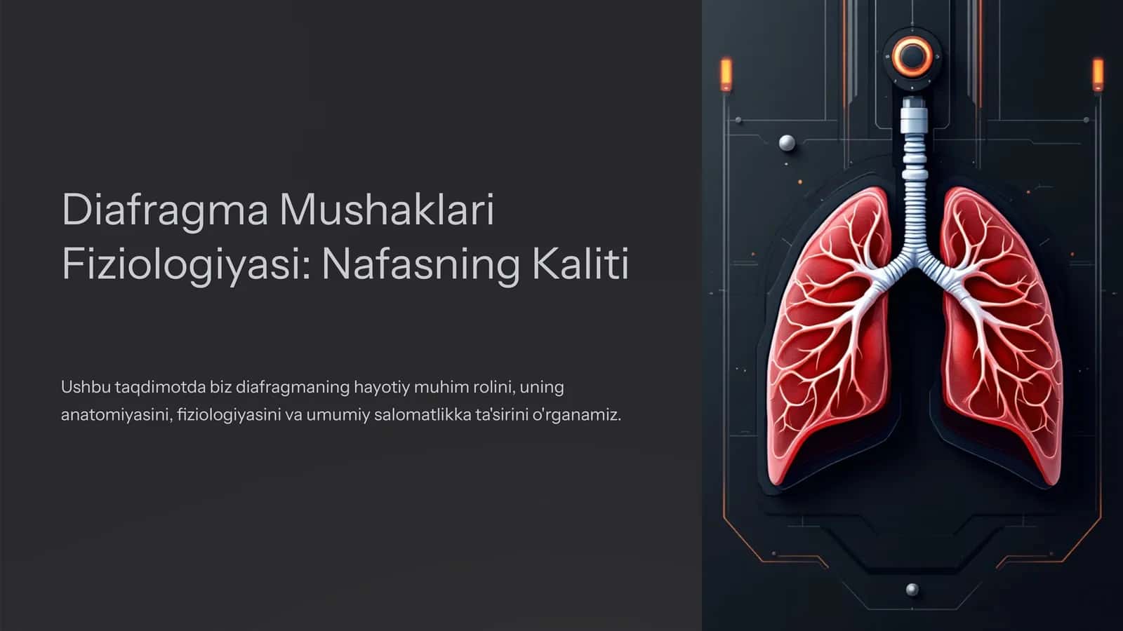 Diafragma Mushaklari Fiziologiyasi: Nafasning Kaliti