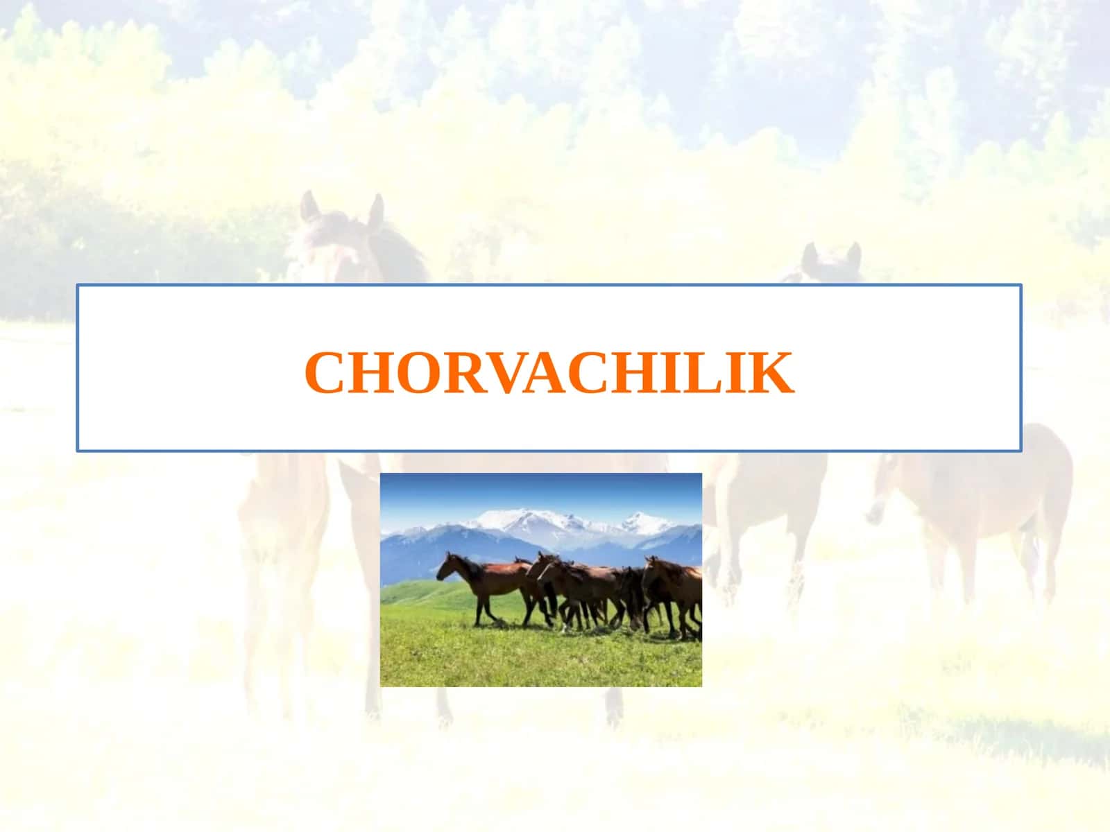 CHORVACHILIK