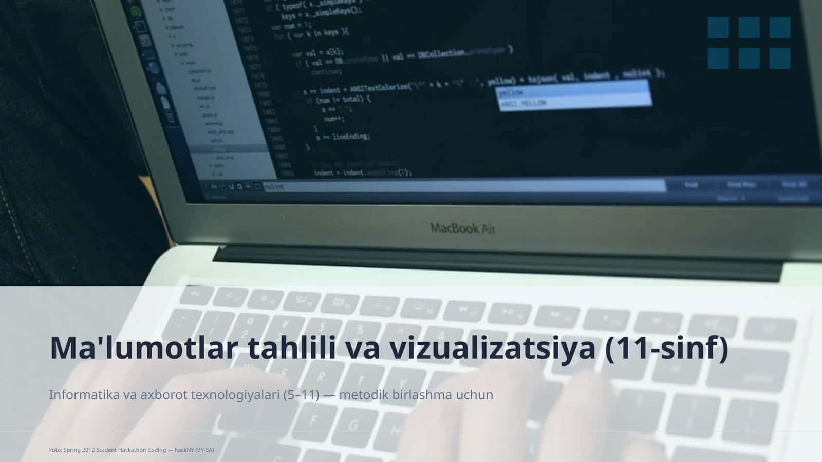 Ma'lumotlar tahlili va vizualizatsiya (11-sinf)