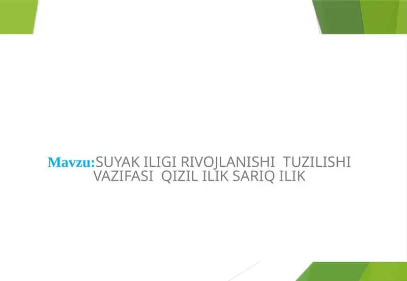 SUYAK ILIGI RIVOJLANISHI  TUZILISHI VAZIFASI  QIZIL ILIK SARIQ ILIK