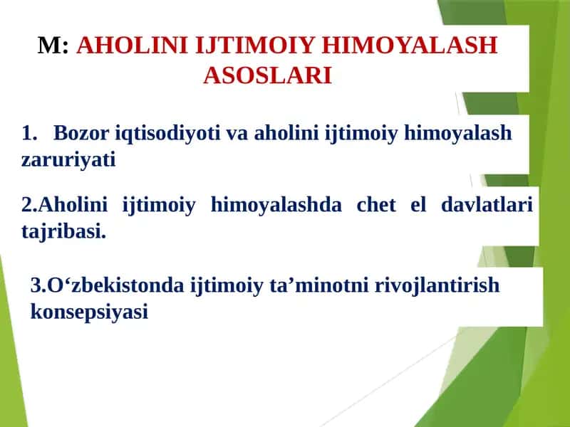 M:AHOLINI IJTIMOIY HIMOYALASH ASOSLARI