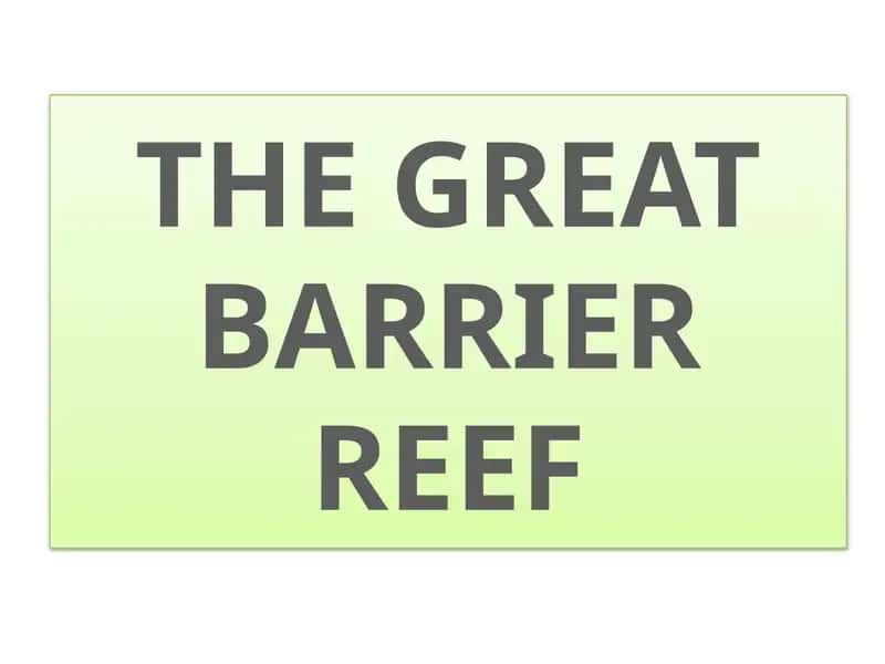 THE GREAT BARRIER REEF