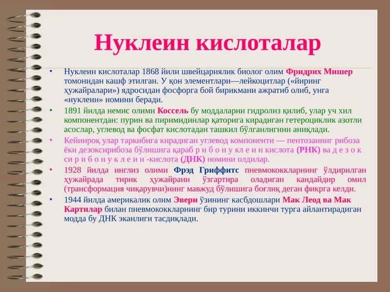 Нуклеин кислоталар