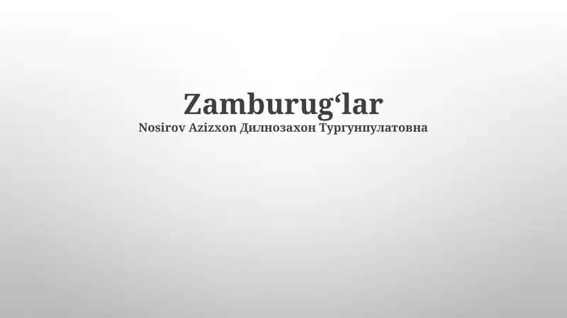 Zamburug'lar Qirolligi