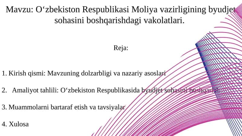 O‘zbekiston Respublikasi Moliya vazirligining byudjet sohasini boshqarishdagi vakolatlari