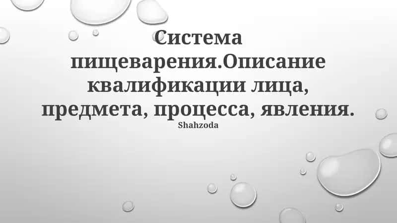 Система пищеварения