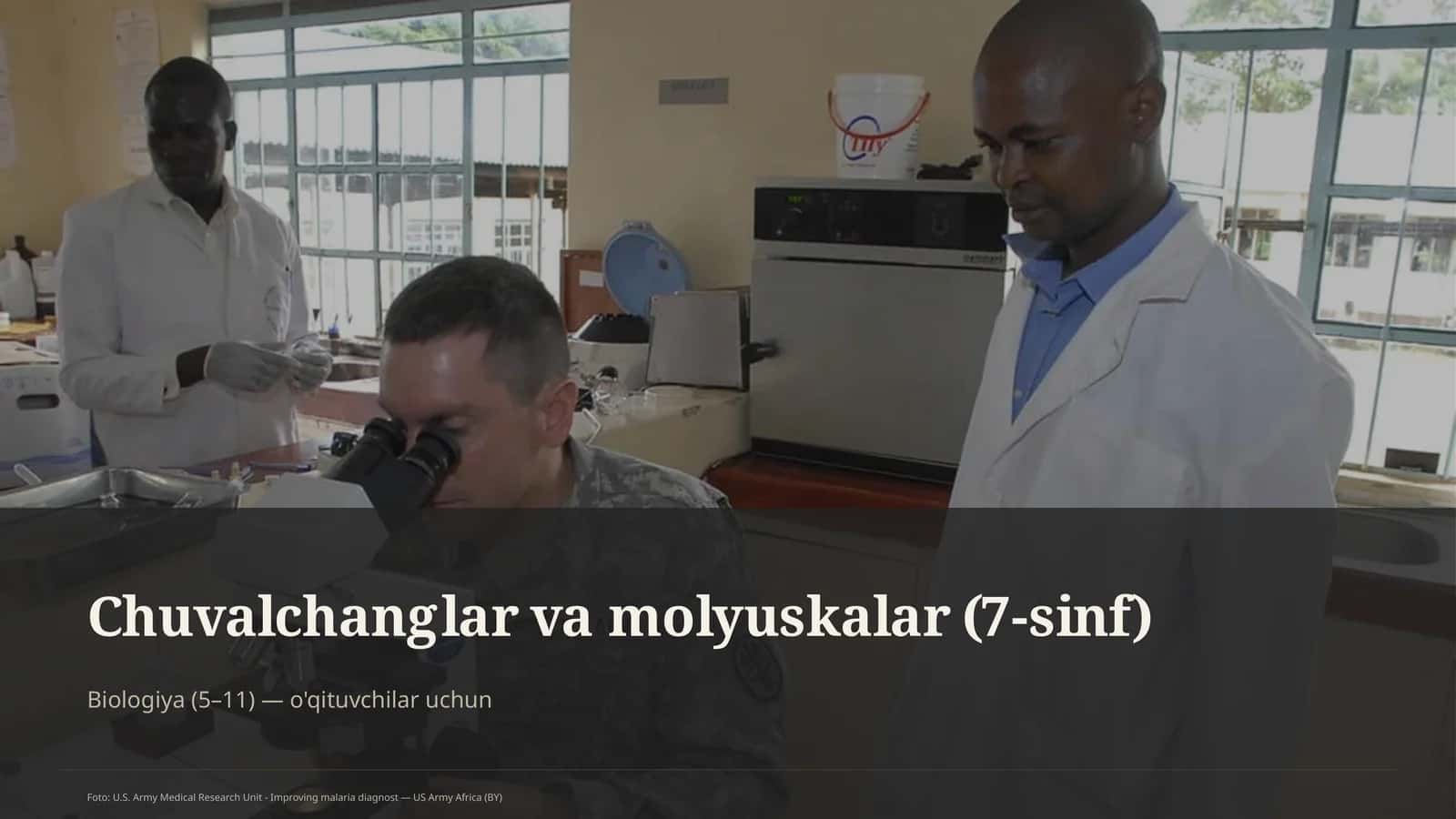 Chuvalchanglar va molyuskalar (7-sinf)