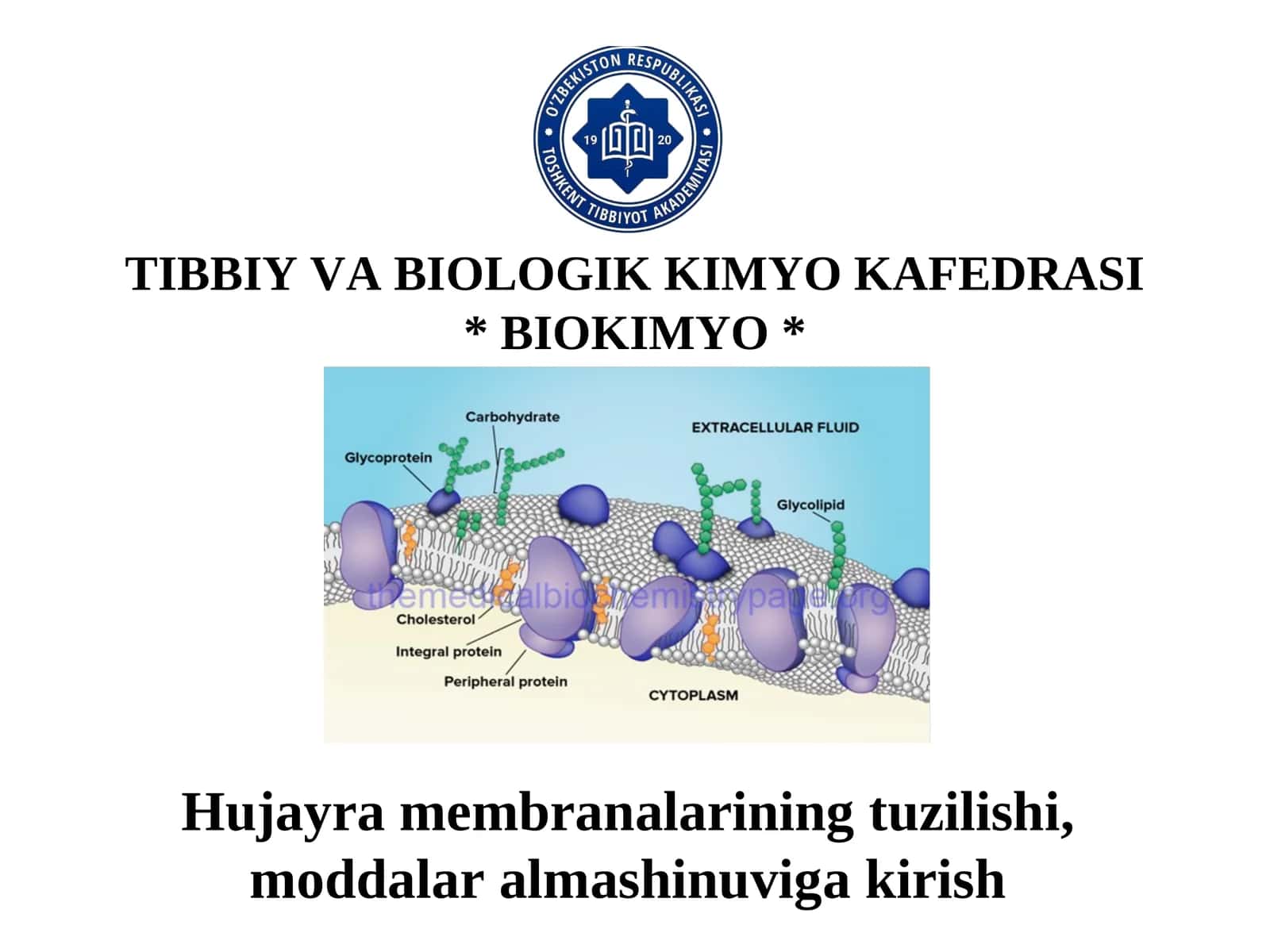 TIBBIYVАBIОLОGIKKIMYOKАFЕDRАSI*BIОKIMYO*
