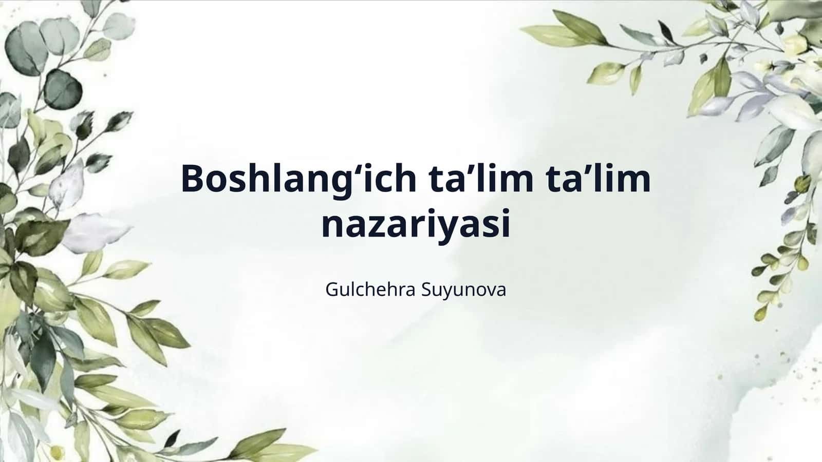Boshlangʻich taʼlim taʼlim nazariyasi