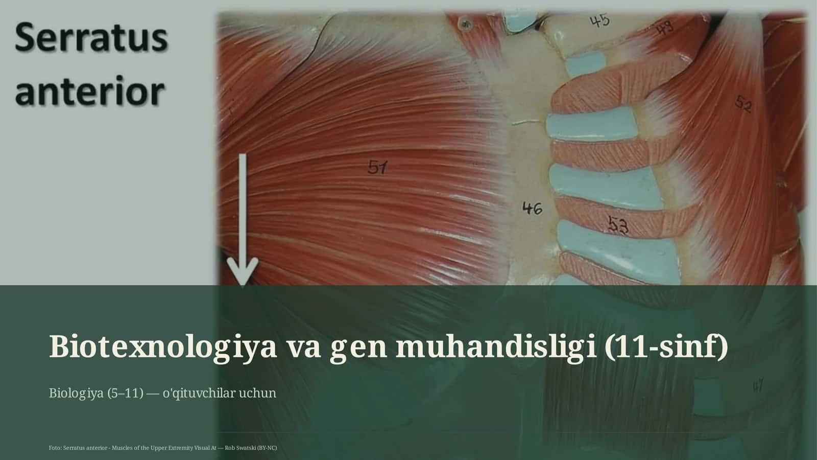 Biotexnologiya va gen muhandisligi (11-sinf)