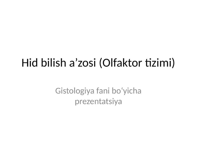 Hid bilish a’zosi (Olfaktor tizimi)