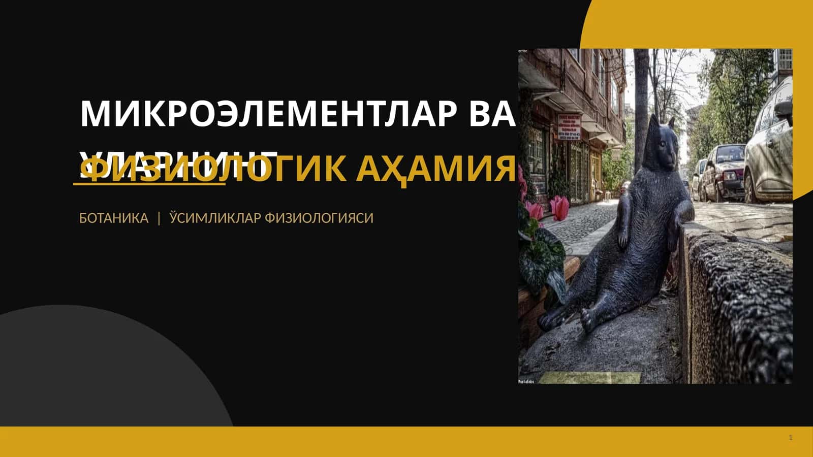 МИКРОЭЛЕМЕНТЛАР ВА УЛАРНИНГ ФИЗИОЛОГИК АҲАМИЯТИ