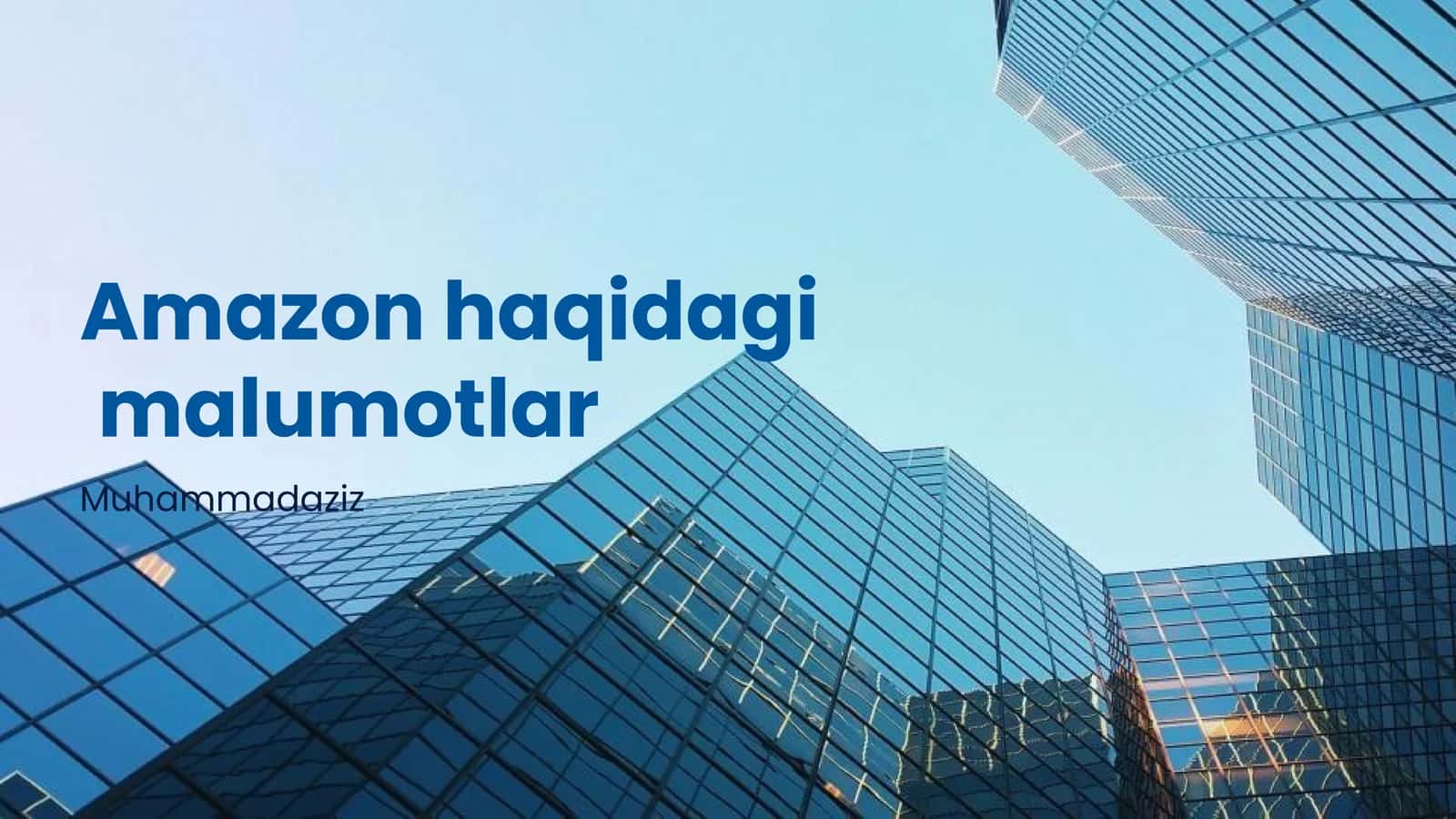 Amazonning Asosiy Faoliyat Sohalari