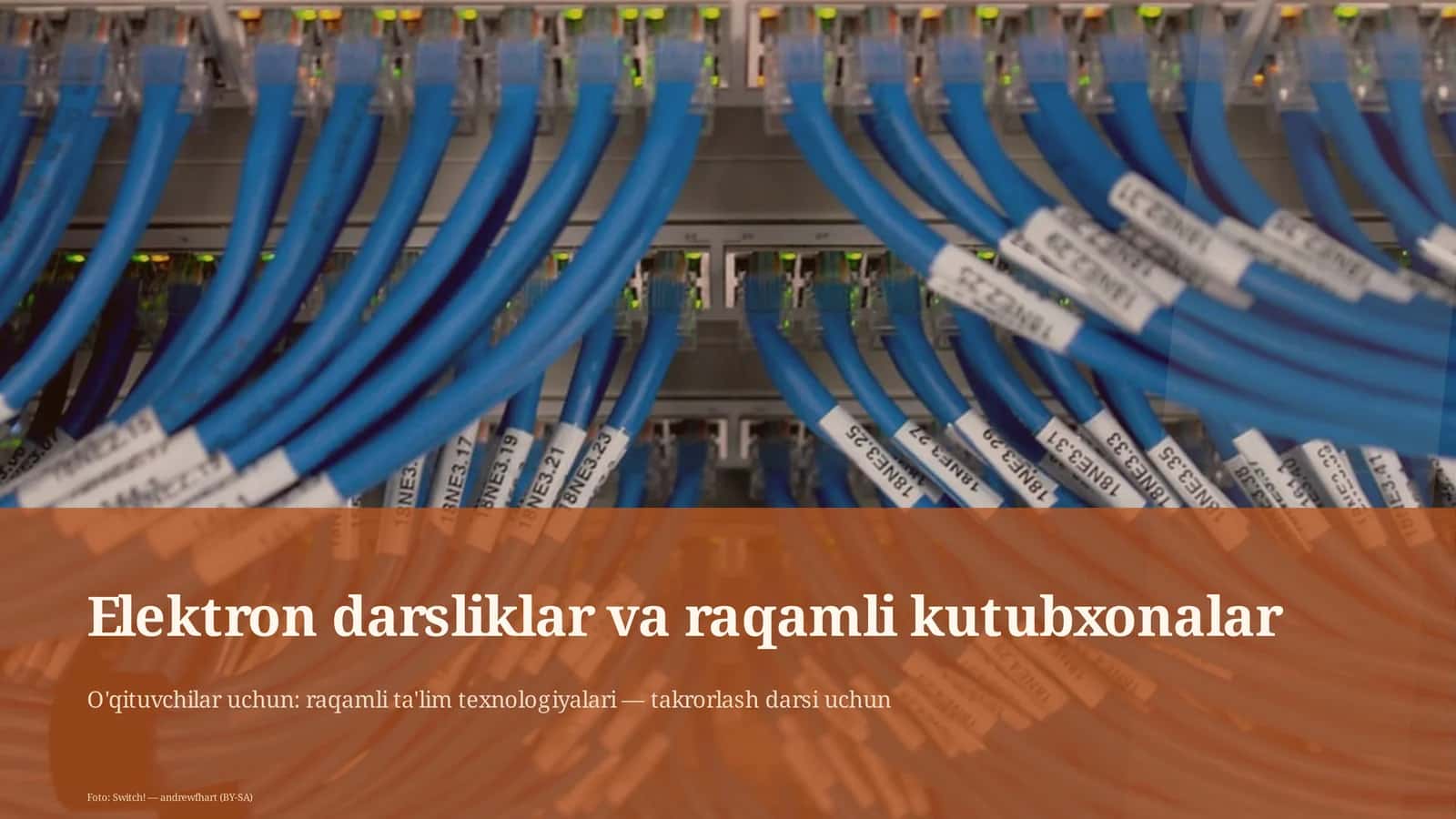 Elektron darsliklar va raqamli kutubxonalar