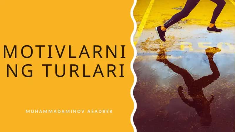 Motivlarning turlari