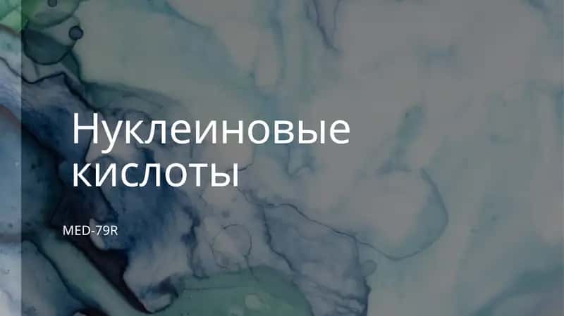Профессиональная работа .Нуклеиновая кислота