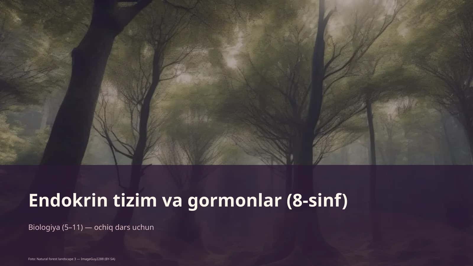 Endokrin tizim va gormonlar (8-sinf)