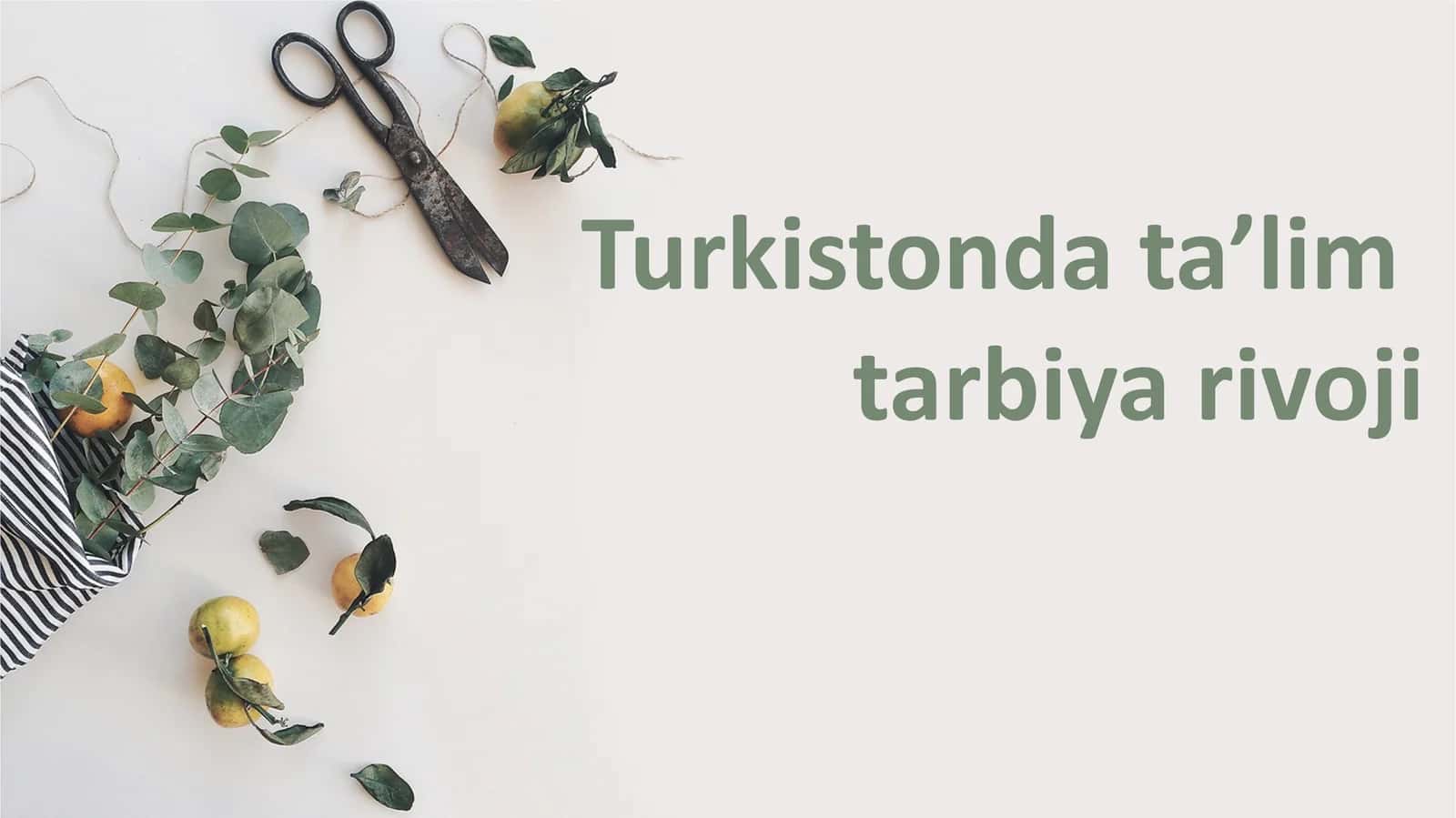 Turkistonda ta’lim tarbiya rivoji