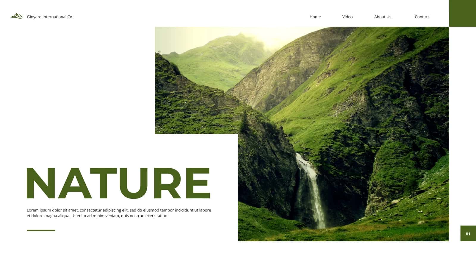 NATURE