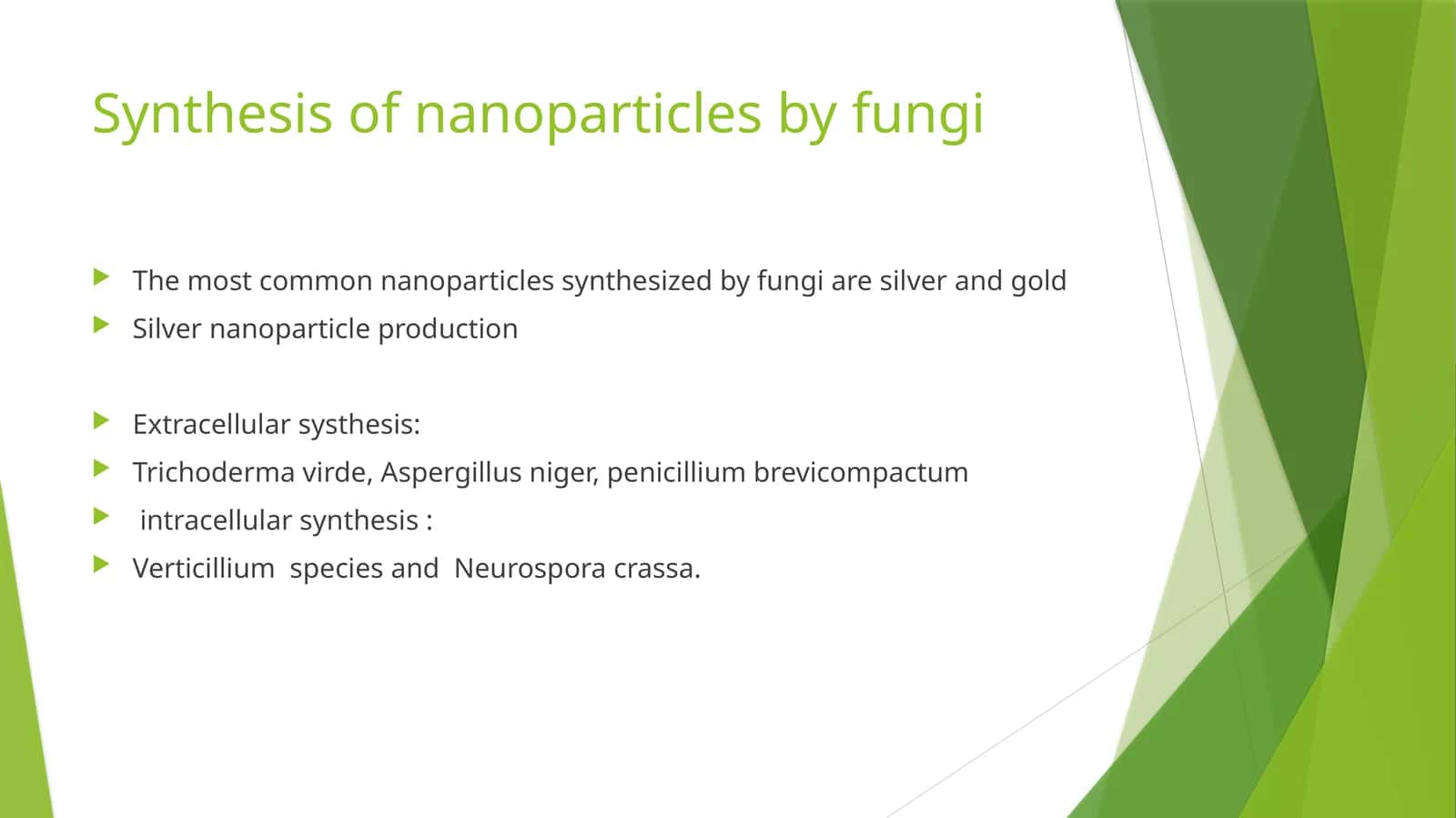 Nanoparticles Synthesis by Fungi