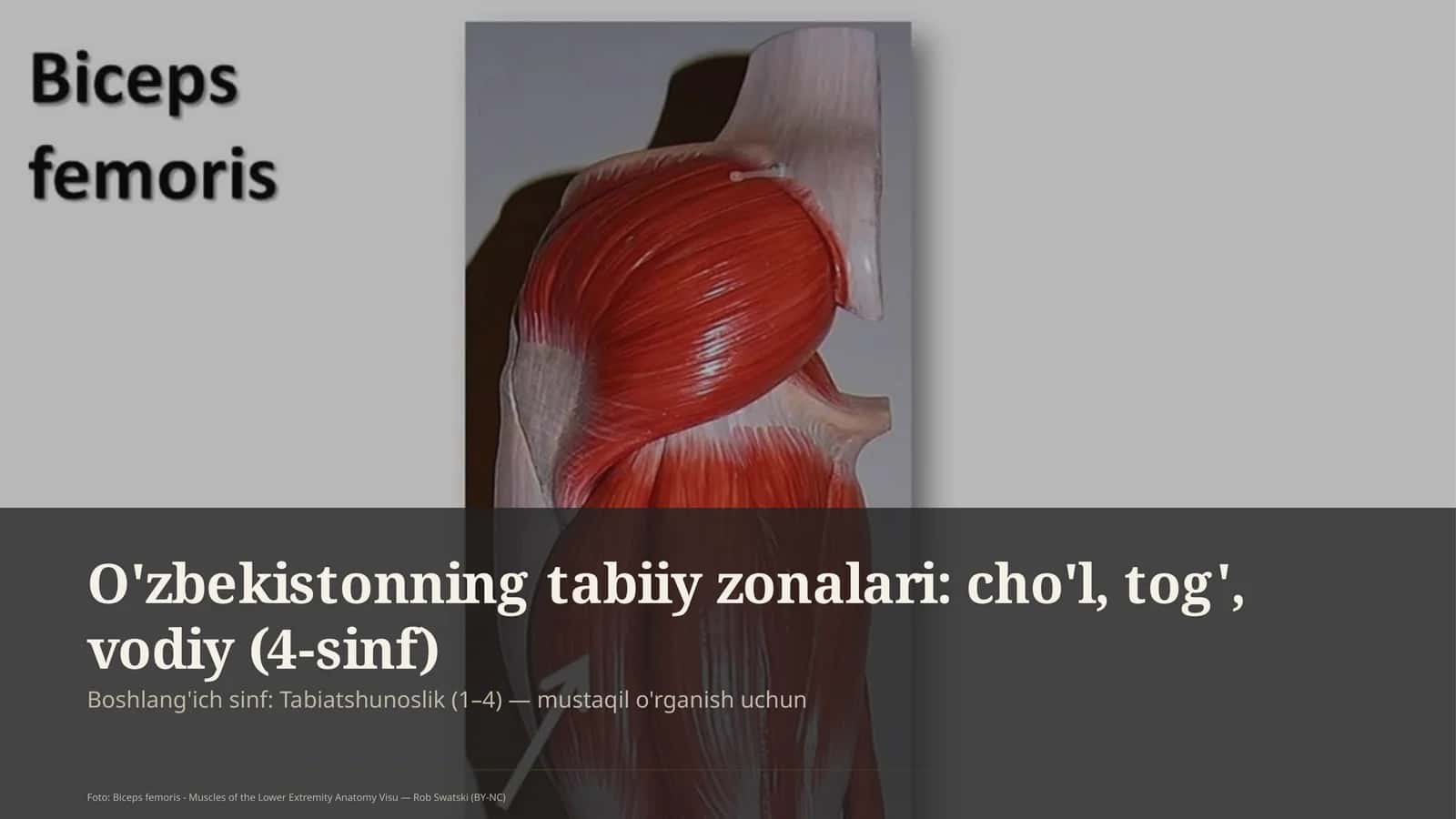 O'zbekistonning tabiiy zonalari: cho'l, tog', vodiy (4-sinf)