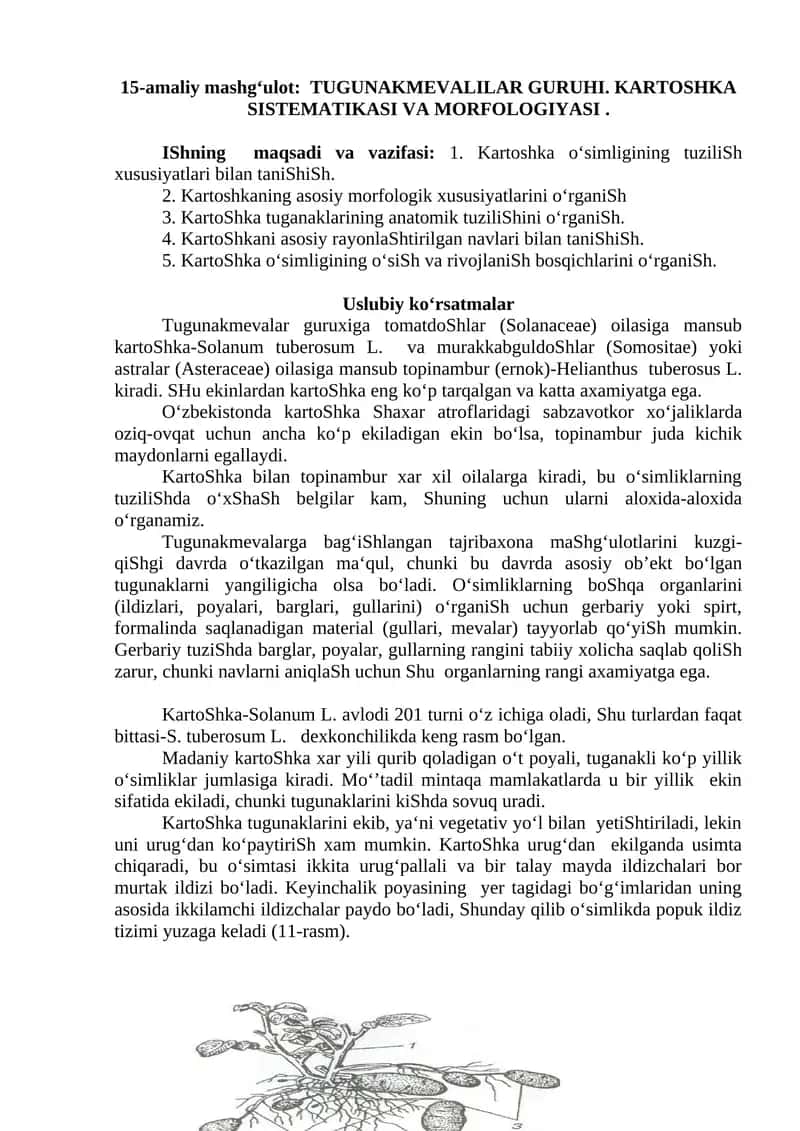 TUGUNAKMEVALILAR GURUHI