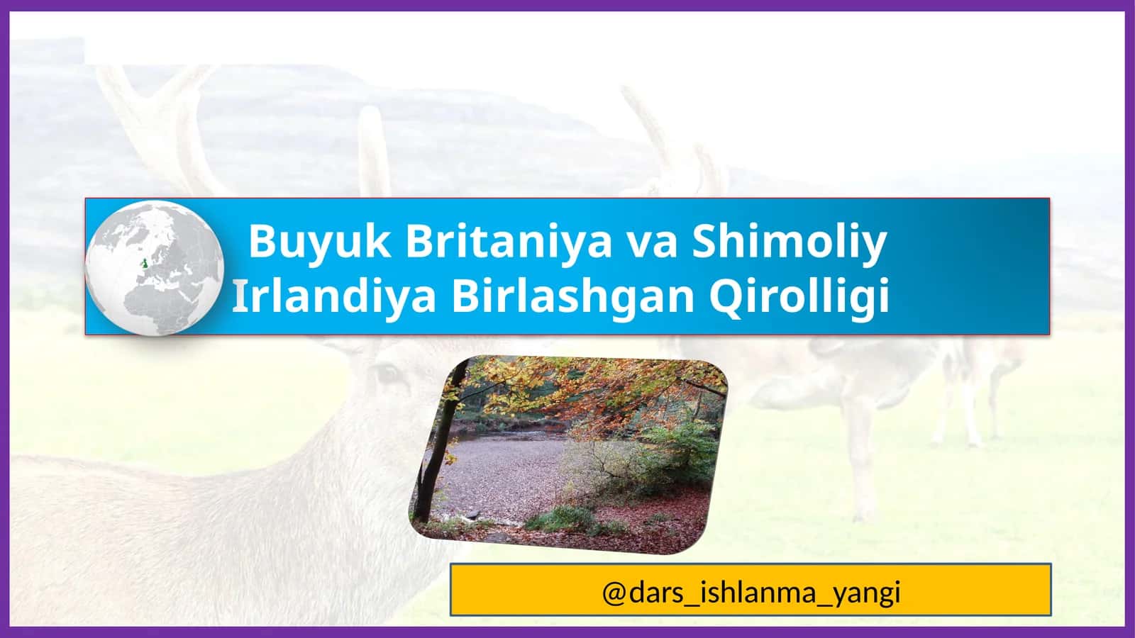 Buyuk Britaniya va Shimoliy Irlandiya Birlashgan Qirolligi