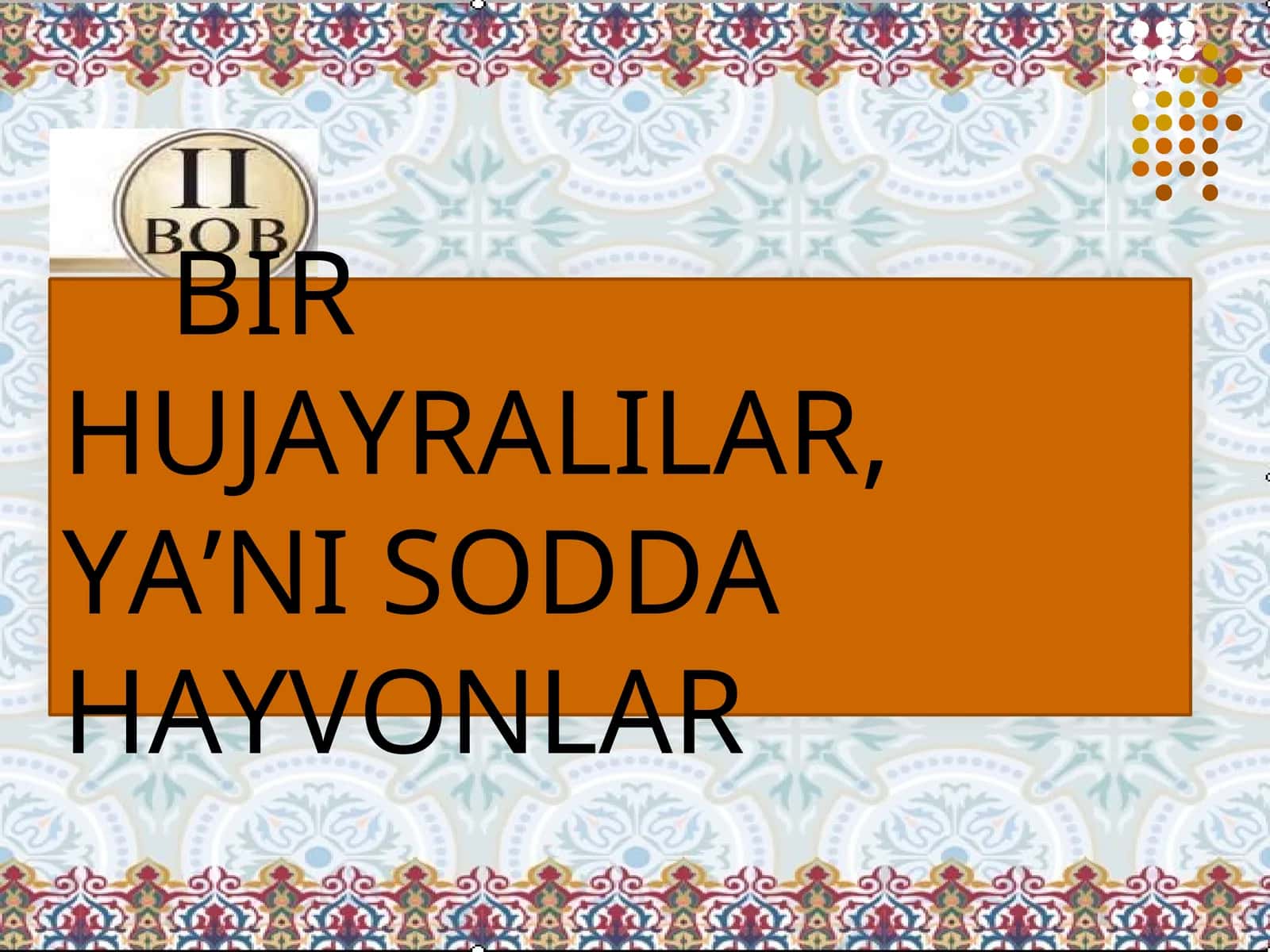 BIRHUJAYRALILAR, YA’NI SODDAHAYVONLAR