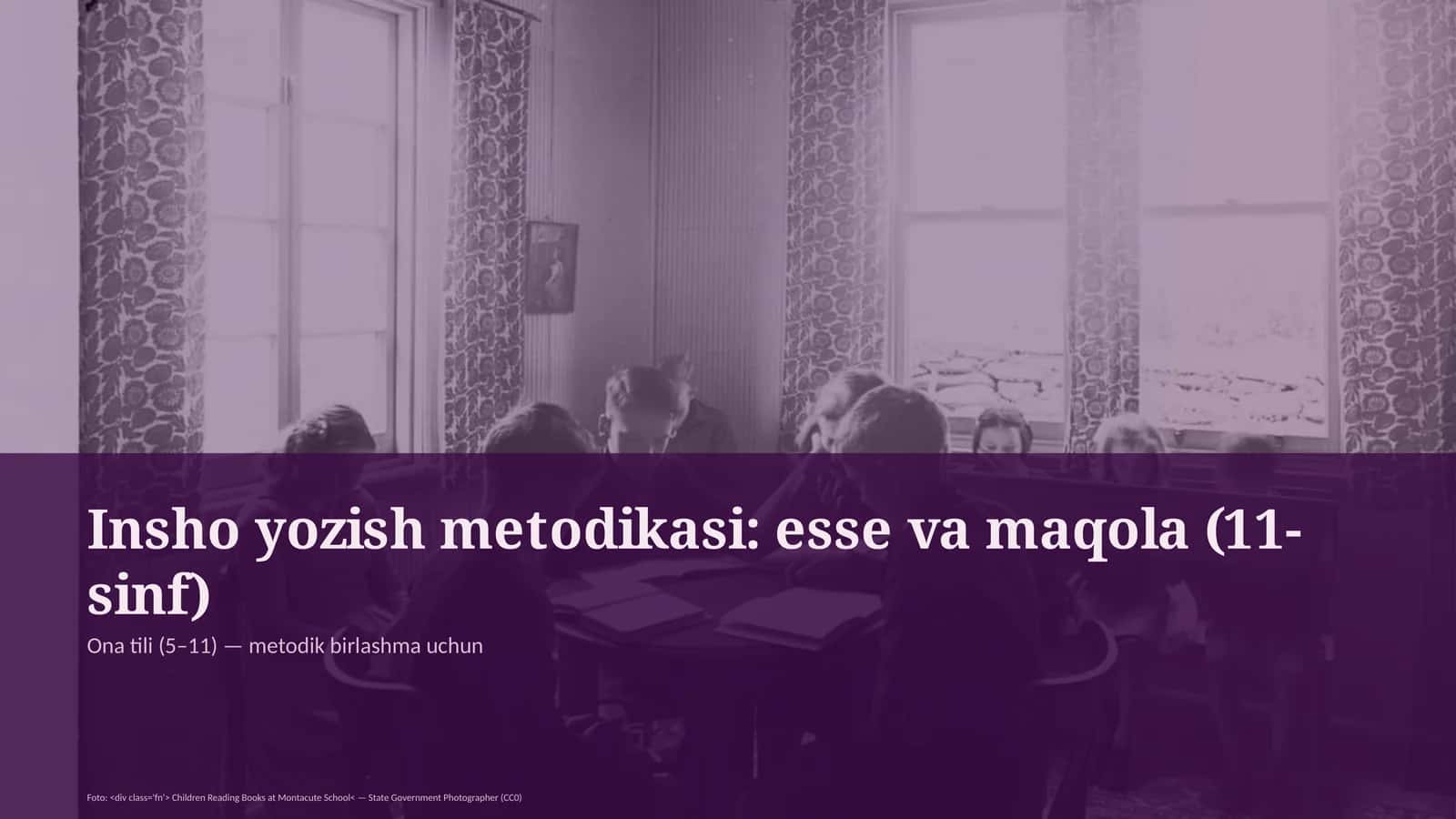 Insho yozish metodikasi: esse va maqola (11-sinf)