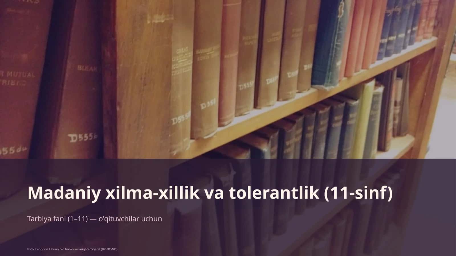 Madaniy xilma-xillik va tolerantlik (11-sinf)