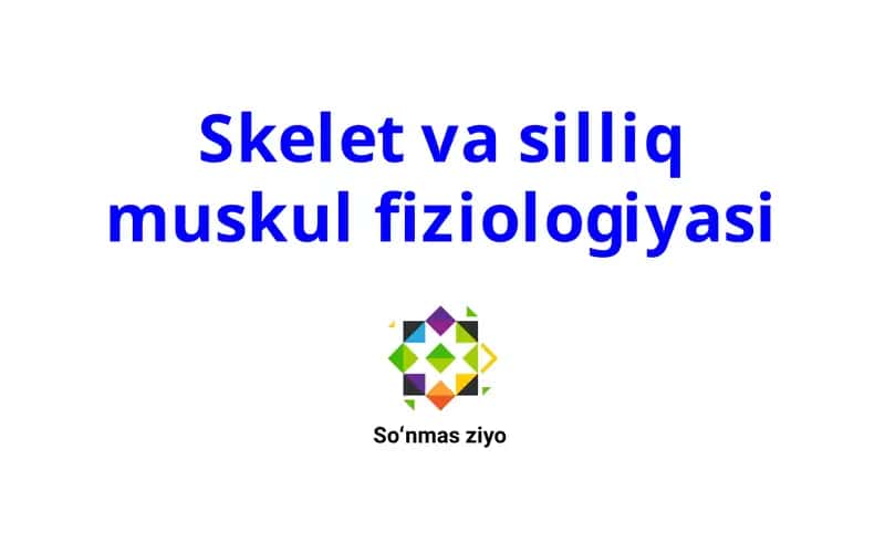 Skelet va silliq muskul fiziologiyasi